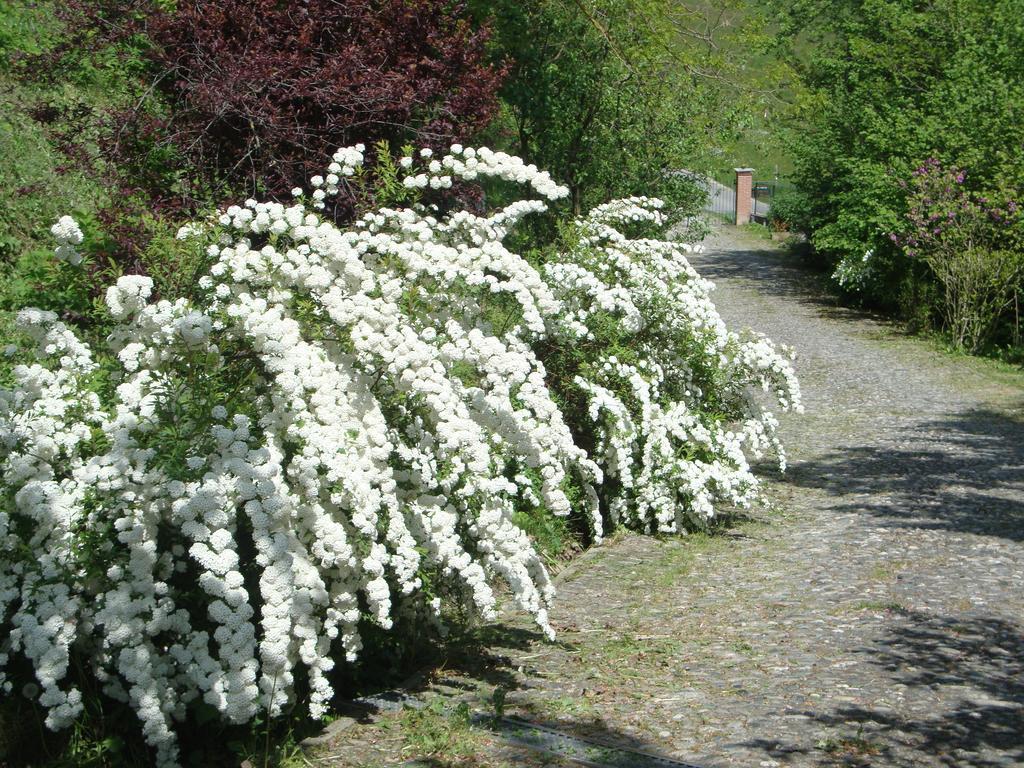 Bed and Breakfast Cascina Nel Bosco Moncucco Torinese Экстерьер фото